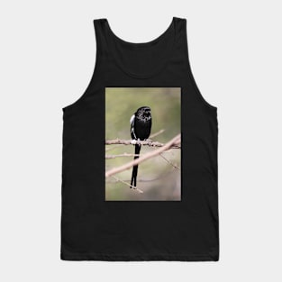 Long-tailed Shrike, Serengeti, Tanzania Tank Top